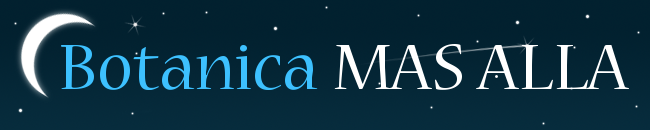Botanica MAS ALLA